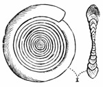 Fig. 18.