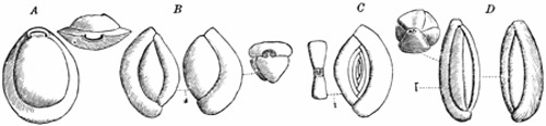 Fig. 24.