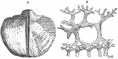 Fig. 53.