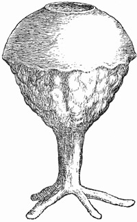 Fig. 83.