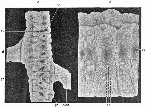 Fig. 111.