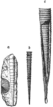 Fig. 990.