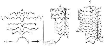 Fig. 1081.