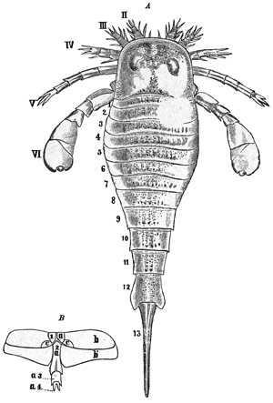 Fig. 1353.