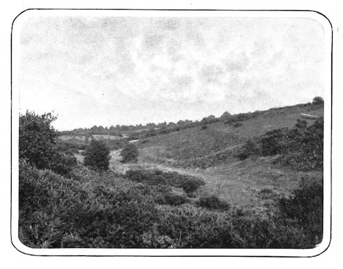 landscape with hillsides