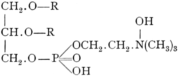 Struktur der Lecithine