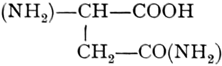 Asparagin