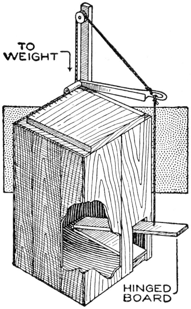 Pedal-operated trimming board