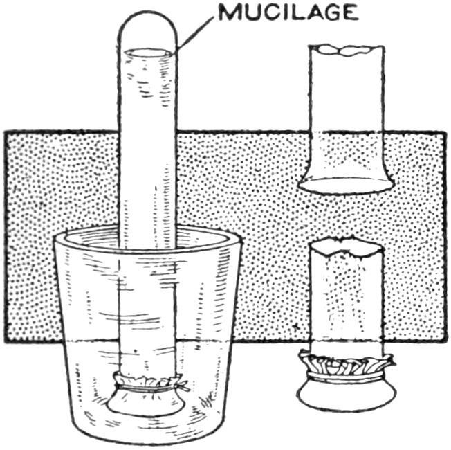 Details of the brush and container