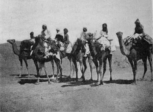 Camel Corps